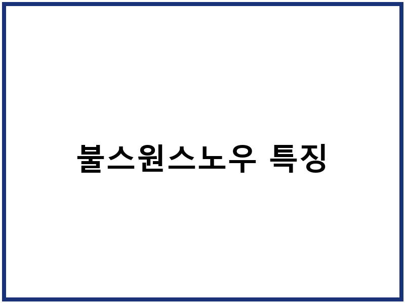 불스원스노우 특징